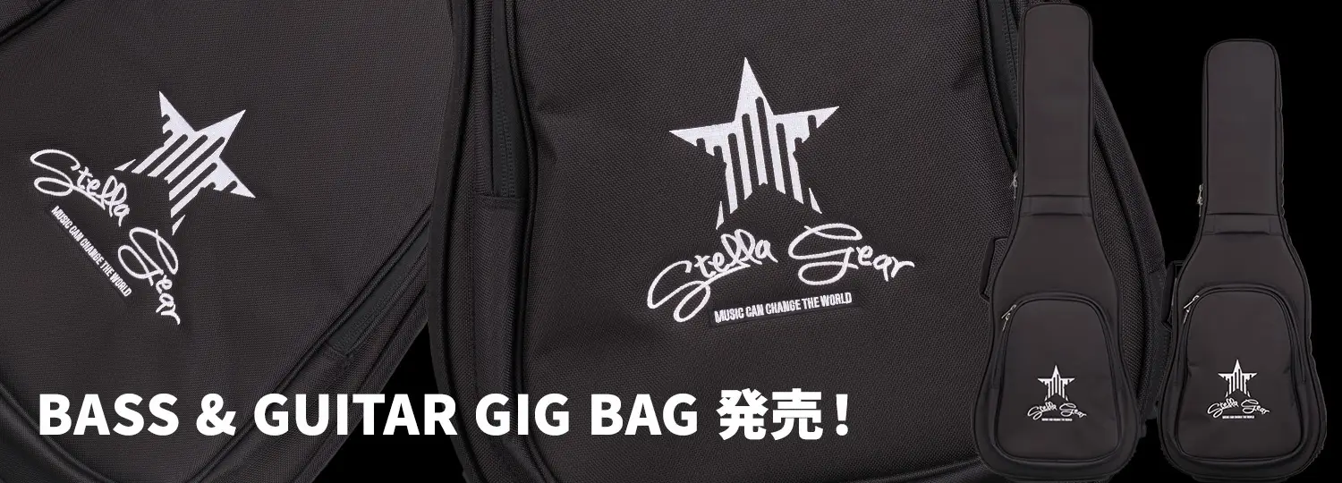 BASS & GUITAR GIG BAG